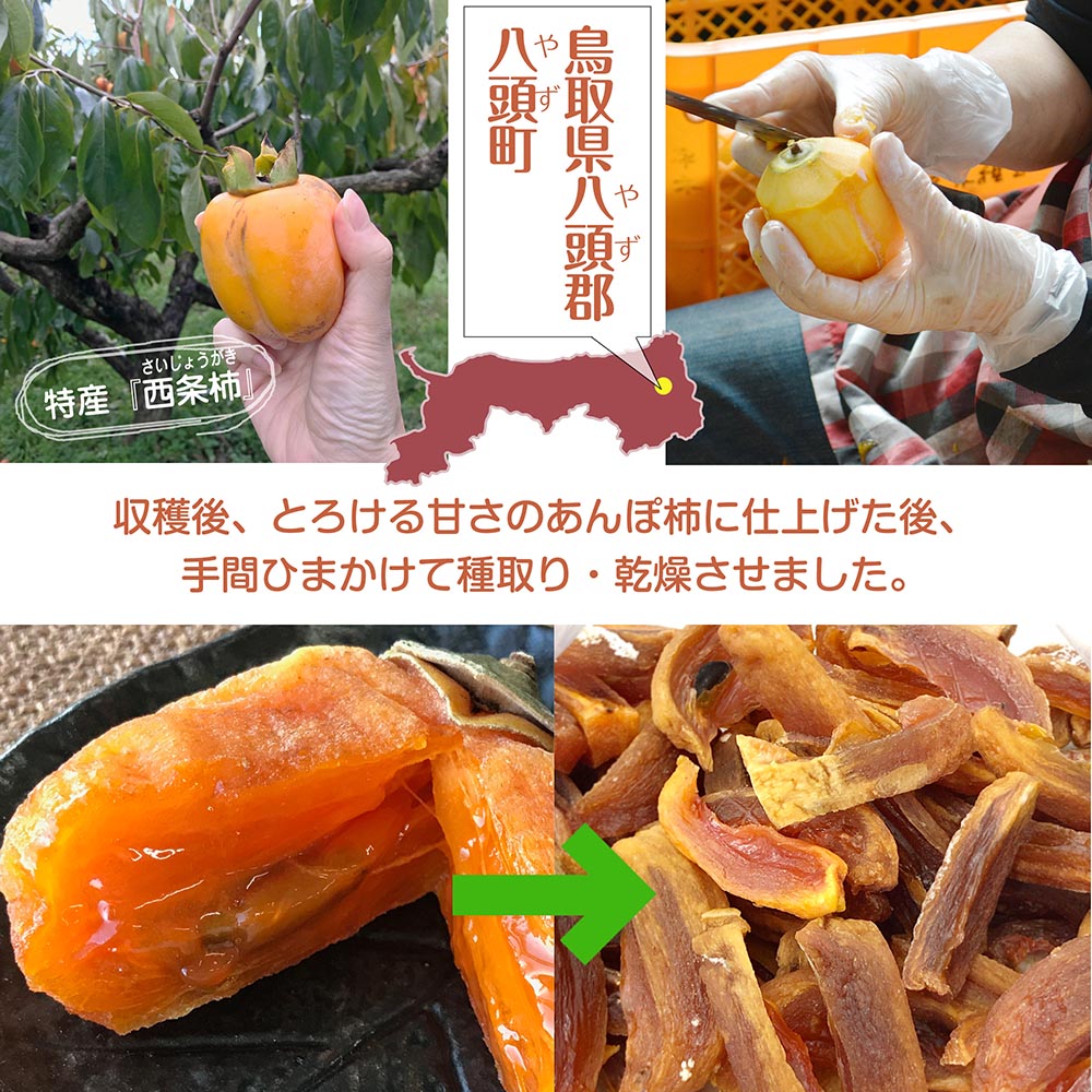 【鳥取県産西条柿使用】ドライフルーツ「やず柿のめぐみ」100g×1袋